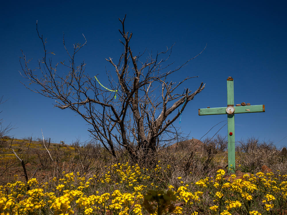 Álvaro Enciso places crosses at sites where migrants are known to have died in the borderland, this cross represents the death of Nolberto Torres-Zayas just east of Arivaca, Arizona on Wednesday, March 27, 2024. Torres-Zayas died of hyperthermia in 2009, not far from a Humane Borders water cache that had been vandalized and drained.