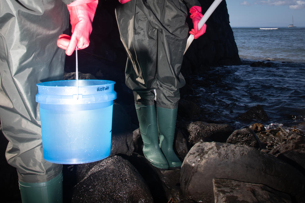 The water samples taken by Yannell  and Keyhani are analyzed for the key indicators of water quality, like the pH, clarity, and oxygen levels.