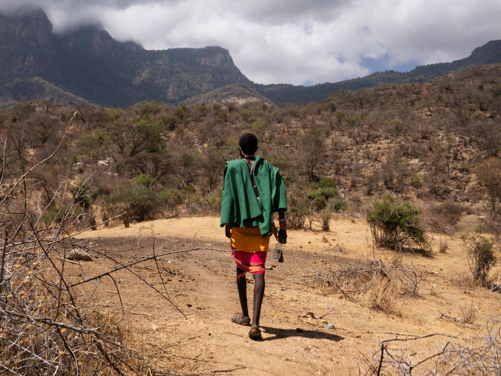 Ltesekwa Lekuuk, Paris's half-brother and a fellow moran, heads toward the mountain campsite where Paris had been living until a few weeks ago.