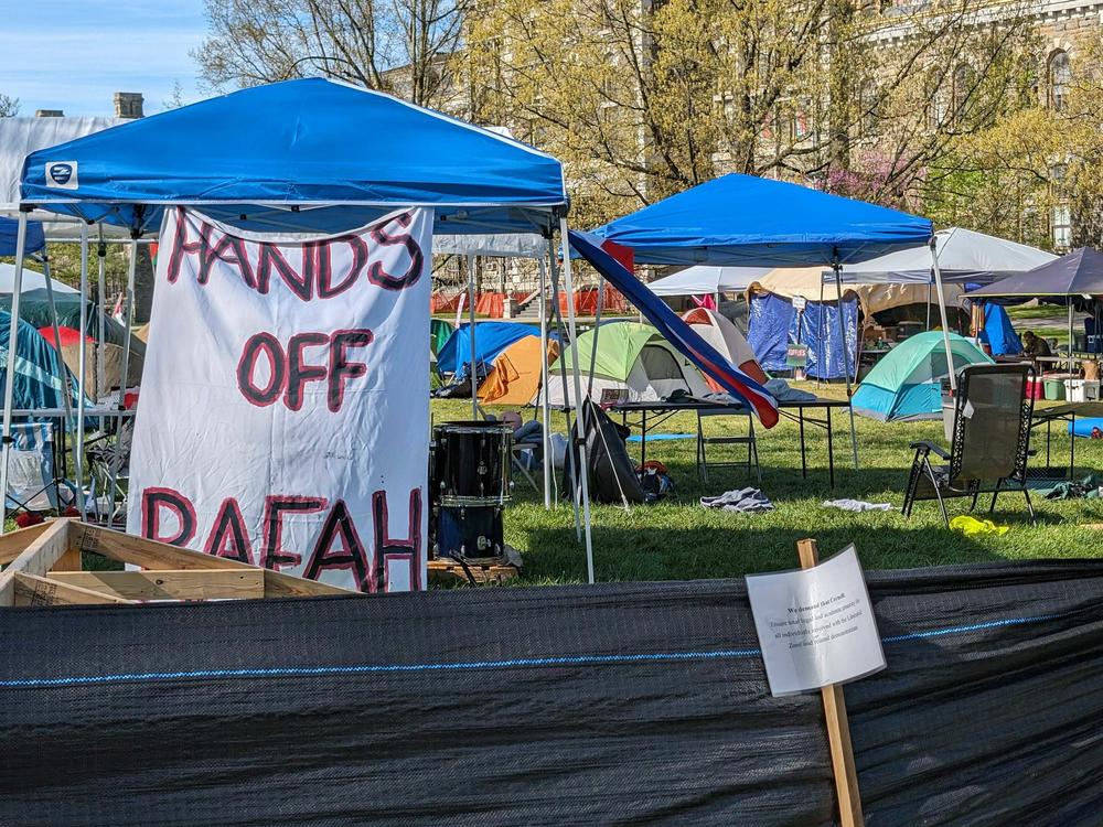 Cornell University divestment protestors set up this encampment on the University's Arts Quad.