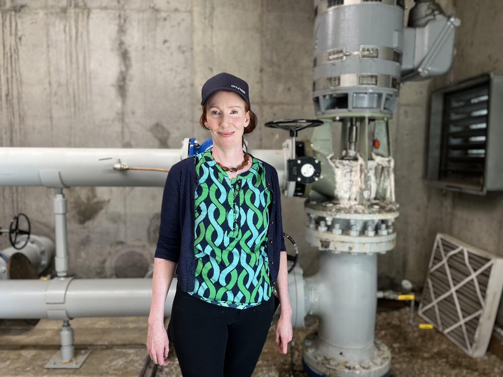 Tina Riley moved to Idaho recently in search of a new career working in the clean energy transition.
