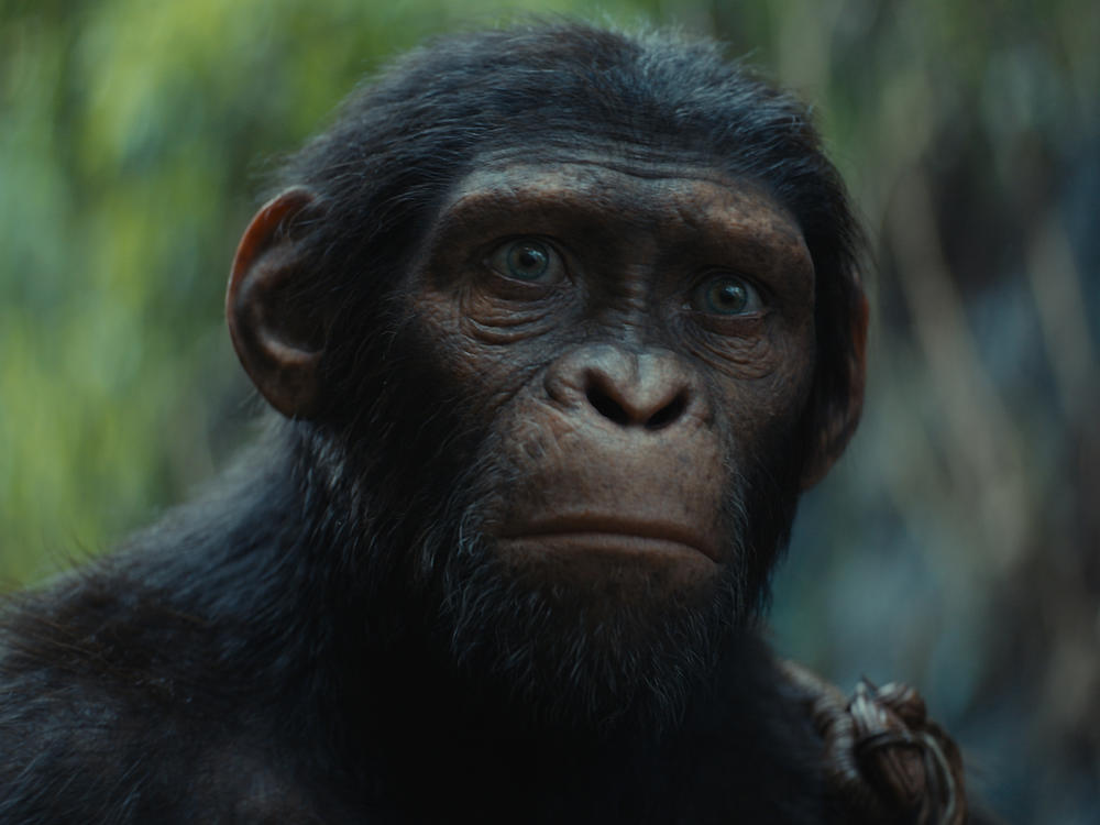 Owen Teague as Noa in the film, <em>Kingdom of the Planet of the Apes.</em>