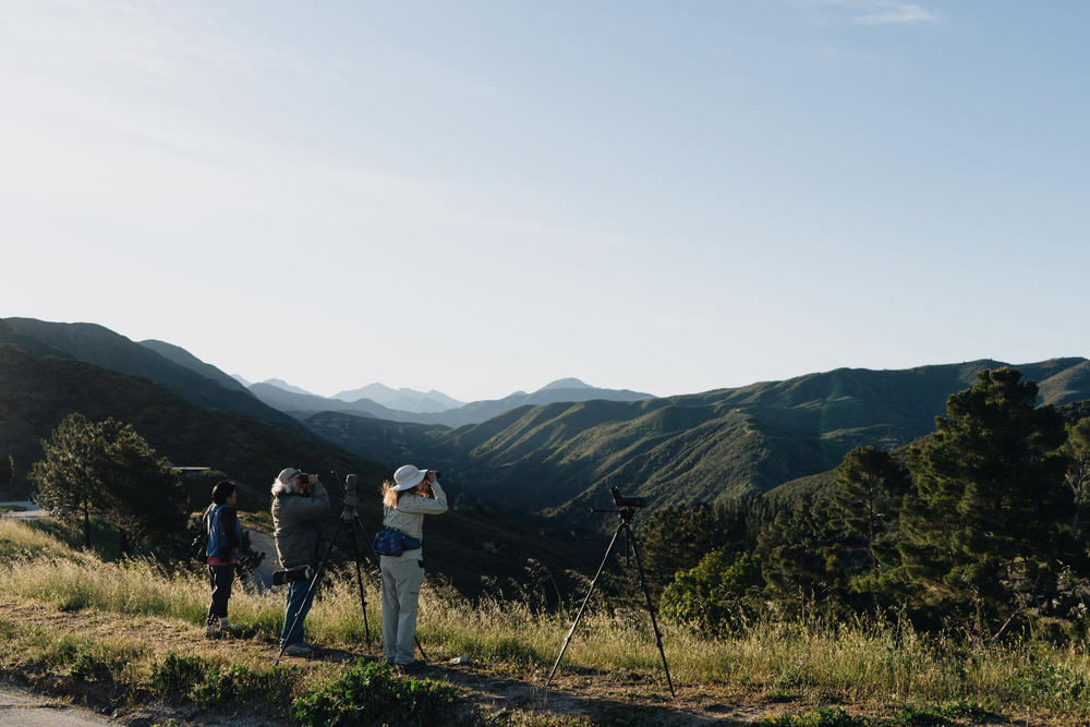 Bird watchers take it all in at Bear Divide.