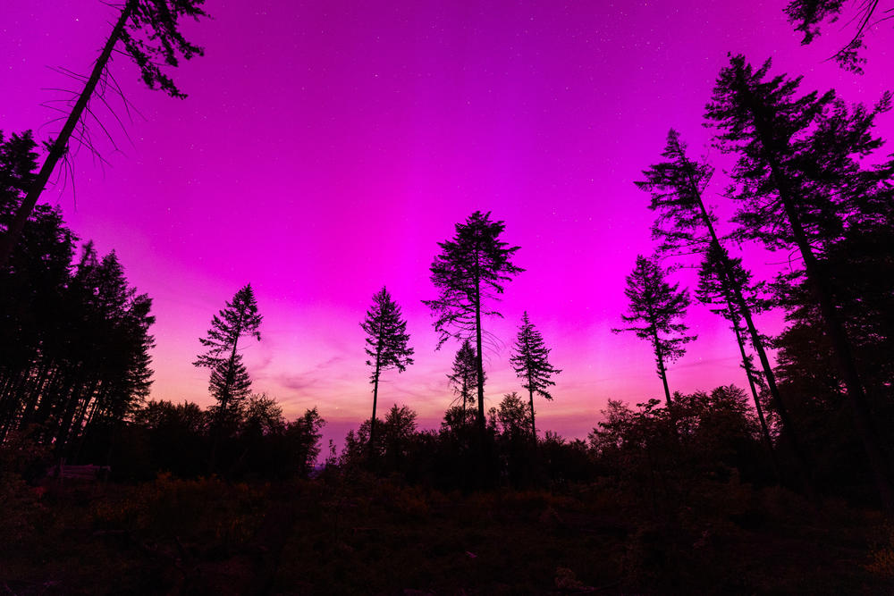 Hesse, Germany: Northern lights appear in the night sky over the Pferdskopf near Treisberg in the Hochtaunus district of Hesse.