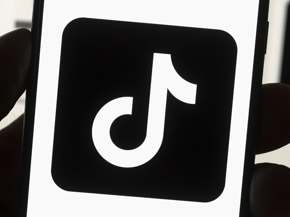 TikTok sued the Biden administration in response to a new law that bans the video app in the U.S. unless it is sold in the next 12 months.