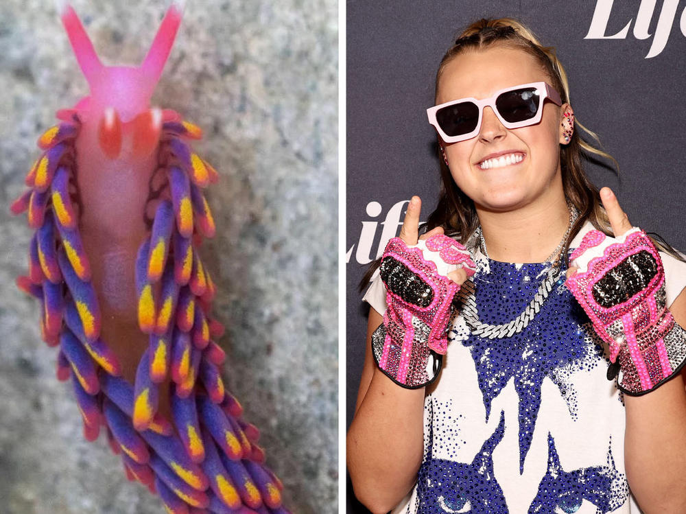 From left: Harrison Butker, a slug, JoJo Siwa