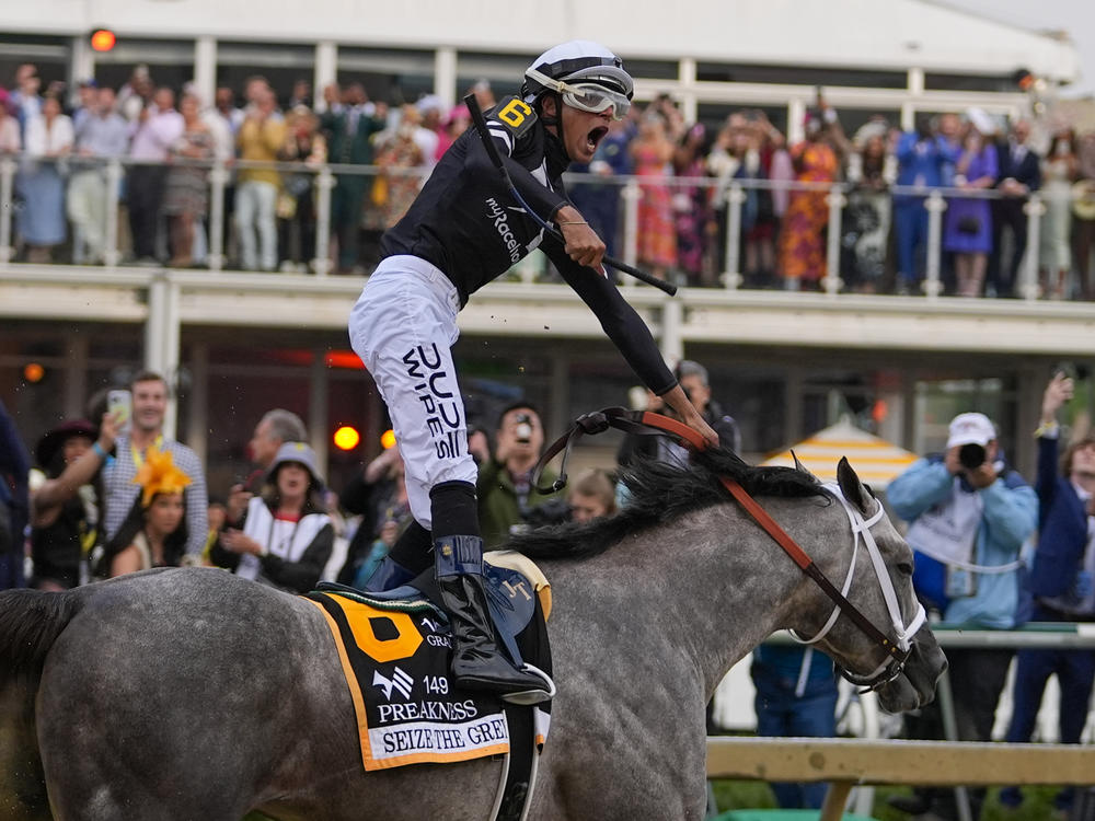 Jaime Torres, atop Seize The Grey, reacts after crossing the finish line to win the Preakness Stakes horse race at Pimlico Race Course on Saturday in Baltimore.
