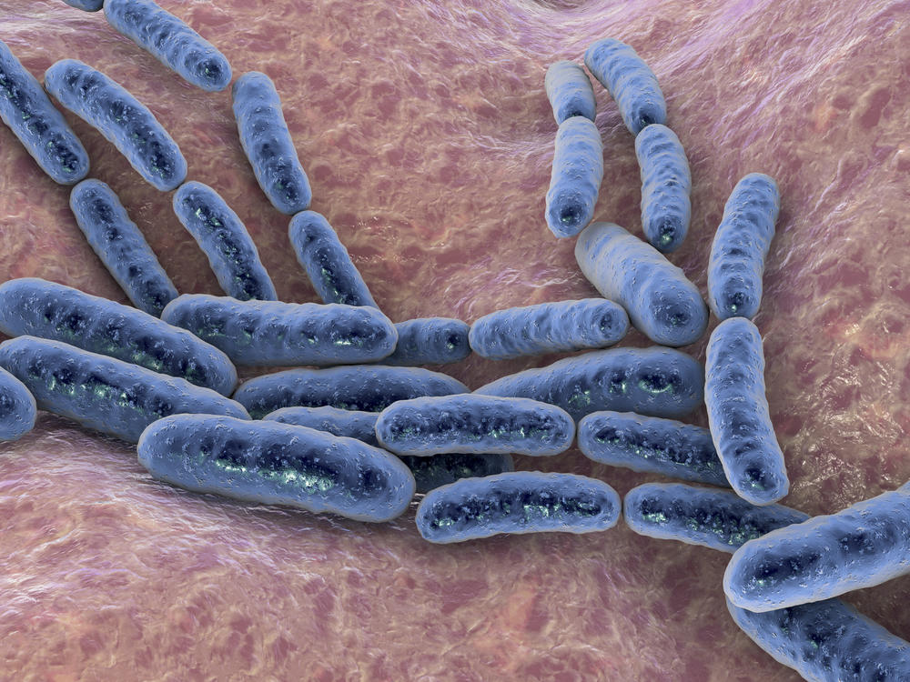 Like the gut, microbes are important for a healthy vaginal ecosystem.