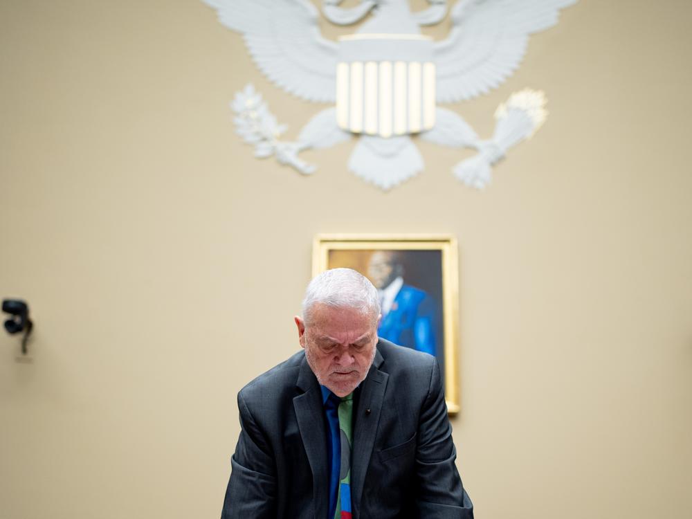Dr. David Morens, a former top adviser to Dr. Anthony Fauci, appears during a House Select Subcommittee on the Coronavirus Pandemic hearing on Capitol Hill. 