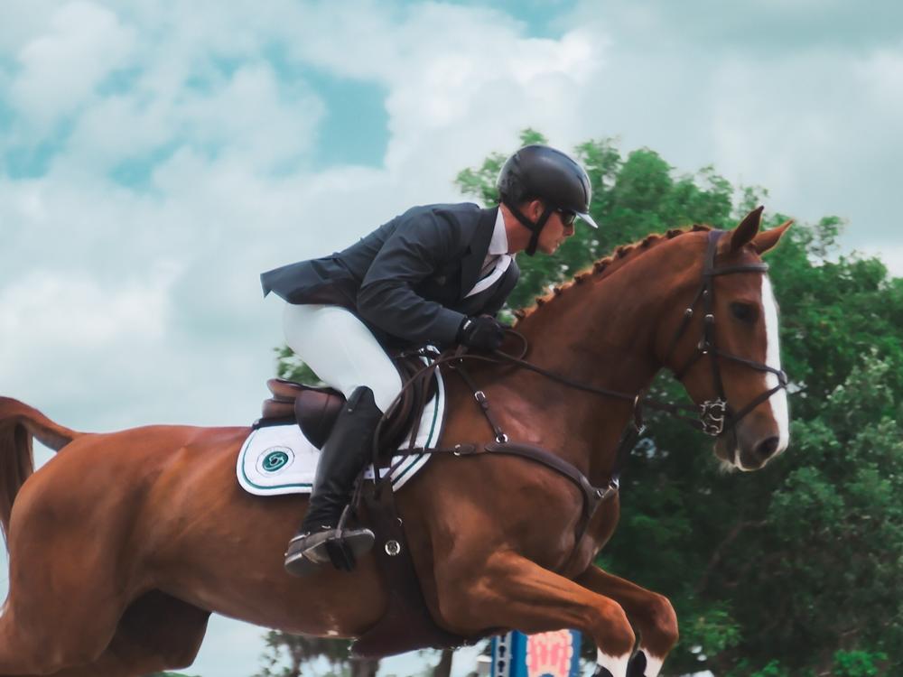  Jonathan Holling competes on his mare Fernhill Esmerelda in the showjumping phase of a three-day eventing competition.
