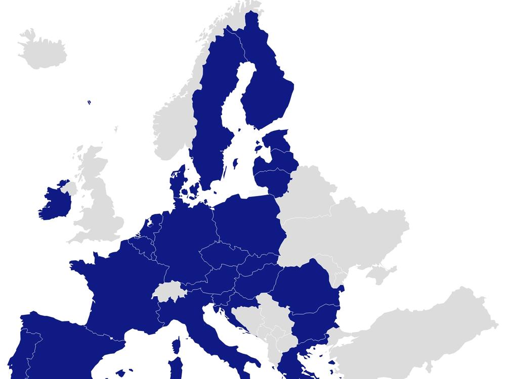 EU voters are choosing a new European Parliament. Nationalist, anti-immigrant sentiment is rising across the continent, but each of the 27 countries has its own domestic issues, too. 