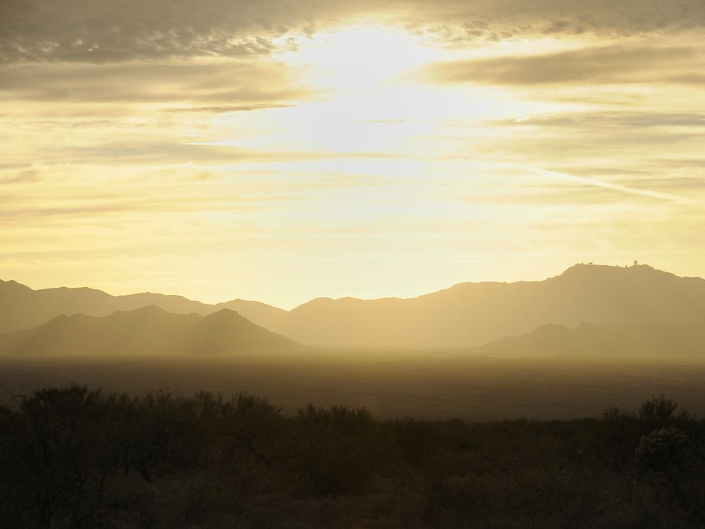 The Arizona desert is punishing. Without adequate water and opportunities to cool down, it can be deadly when temperatures climb.