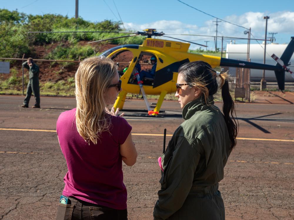Christa Seidl and Layla Rohde discuss the day's work ahead airdropping special mosquitoes into one of Maui's high-elevation forests, the last refuge for endangered birds.