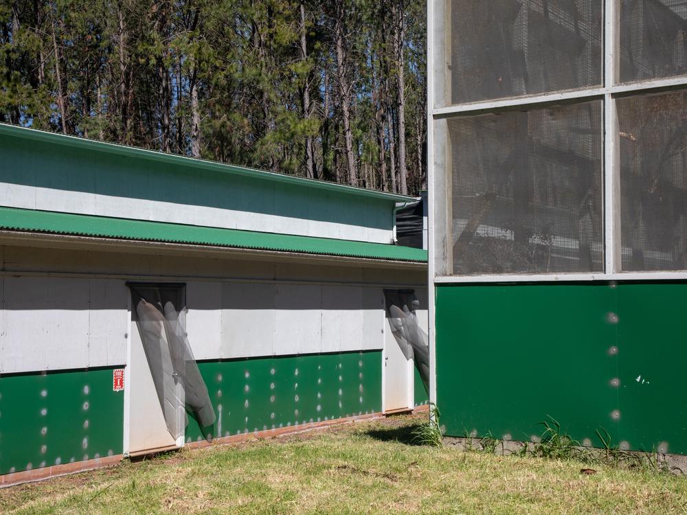 These nondescript buildings hold some of Hawaii’s rarest birds like the 'alalā, the Hawaiian crow, which is extinct in the wild.