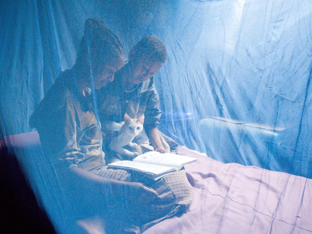 In modern times, malaria is thought of as a tropical disease but evidence from ancient bones reveals a different narrative. Above: In Ambowuha, Ethiopia, Birtukan Demissie and her siblings are protected from mosquitoes that carry the disease with a bed net. Joining them is the family cat.