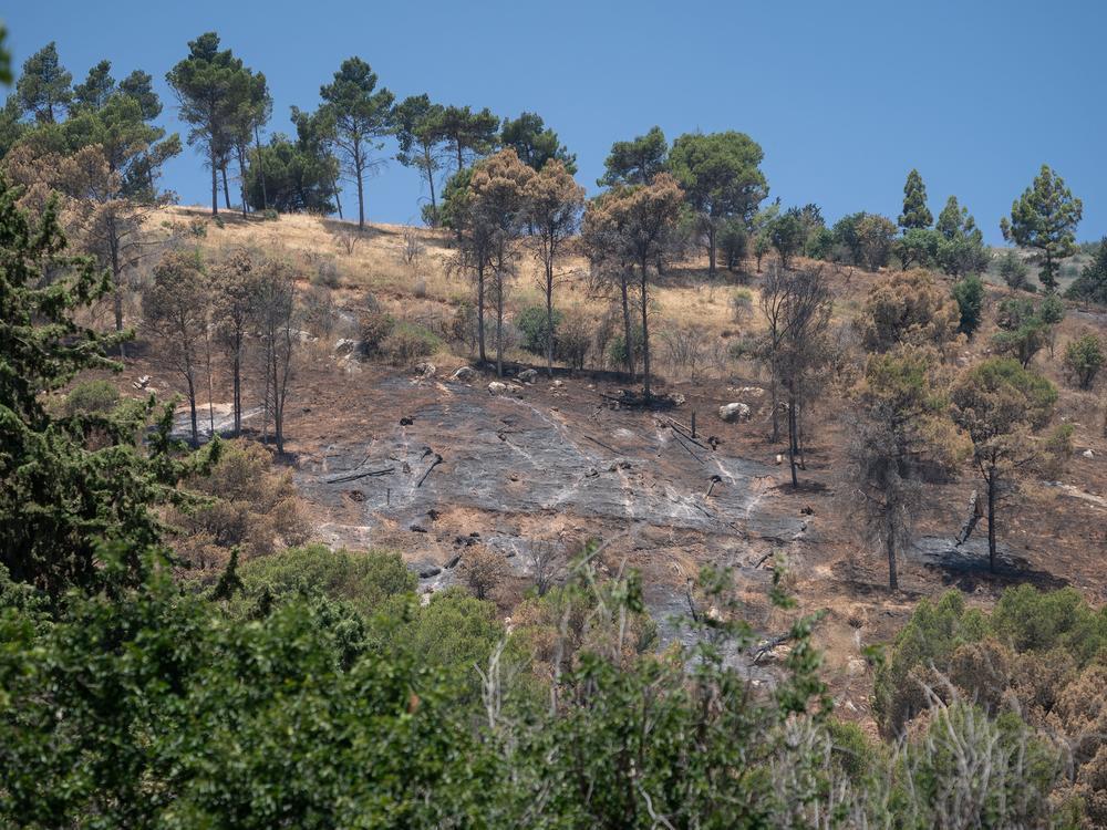 A mountainside with burn damage from Hezbollah rockets in the Israeli town of Kiryat Shmona, June 10.