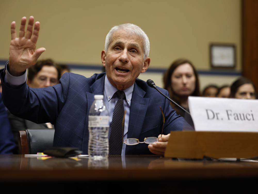 Dr. Anthony Fauci testifies before the House Oversight and Accountability Committee Select Subcommittee on June 3.
