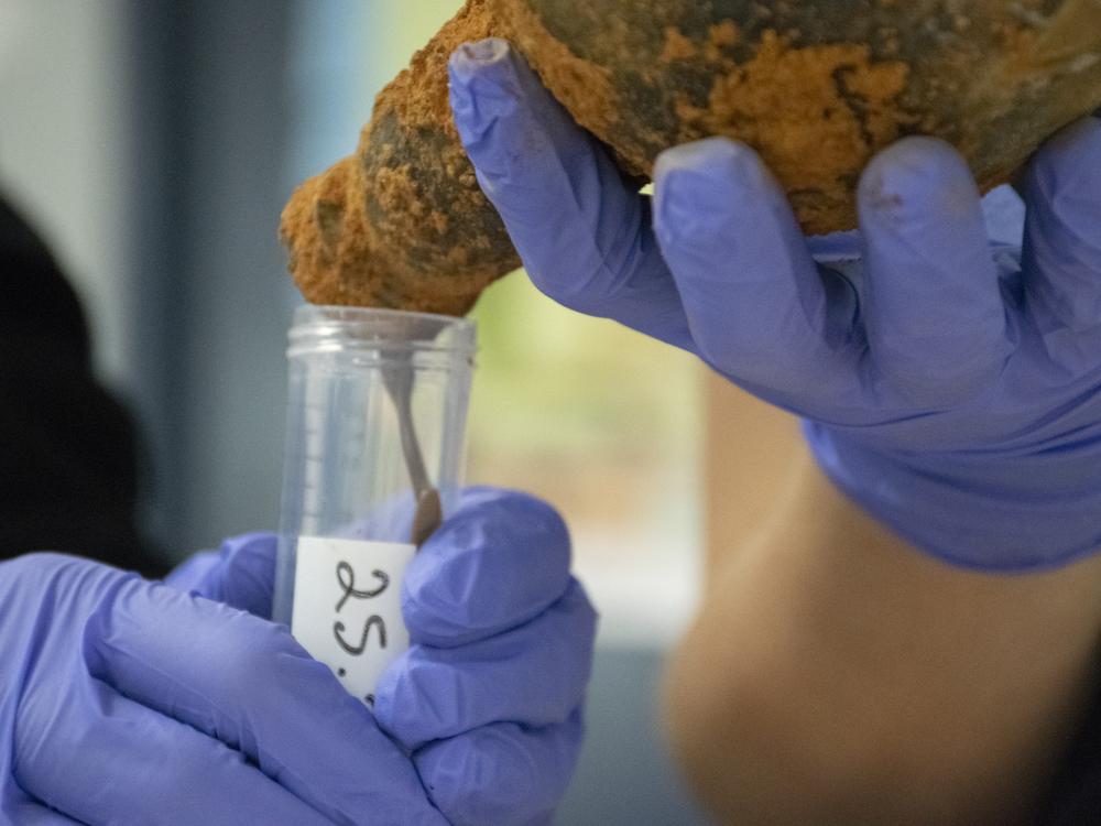  Fruit substance is carefully extracted from a bottle. 