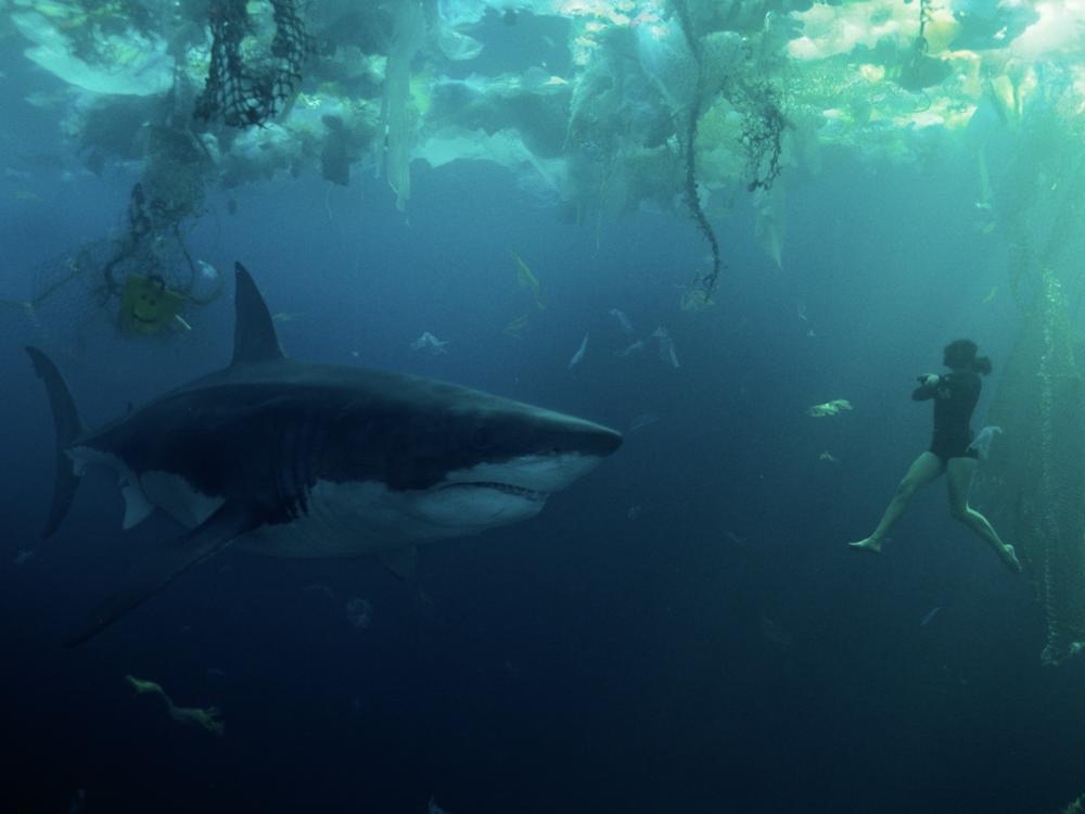  Sharks in the Seine — <em>mon dieu!</em>