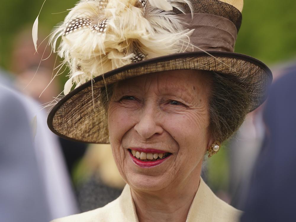 Buckingham Palace says Princess Anne was hospitalized as a precautionary measure after sustaining minor injuries and concussion following an incident on the Gatcombe Park estate on Sunday. Above, princess attends a garden party at Buckingham Palace on May 17. 