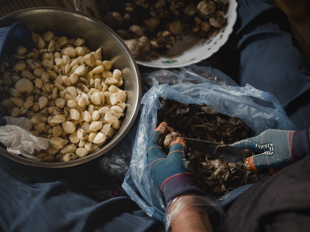 Kim Yong-jae, 82, peels garlic in her home in Sokcho, South Korea, on Sept. 9, 2023.