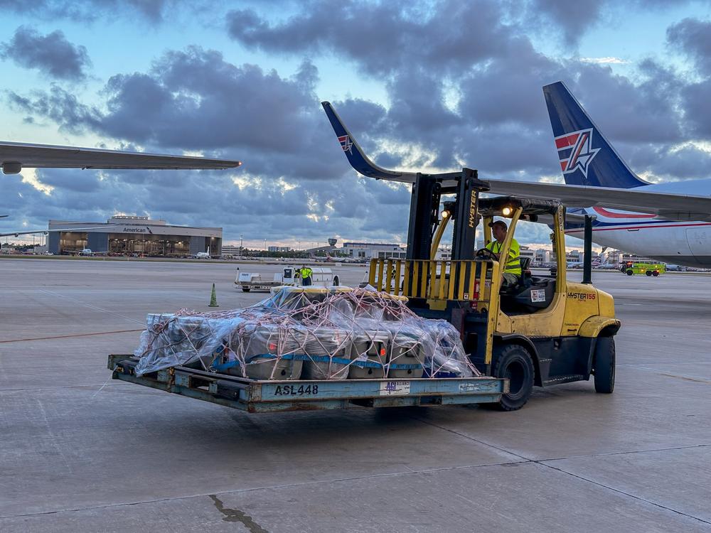 A forklift at Miami International Airport moves coolers containing elkhorn and brain coral shipped to Miami from Honduras in June. <br/>