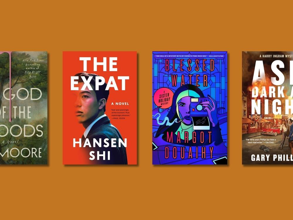  Maureen Corrigan picks four crime and suspense novels for the summer.