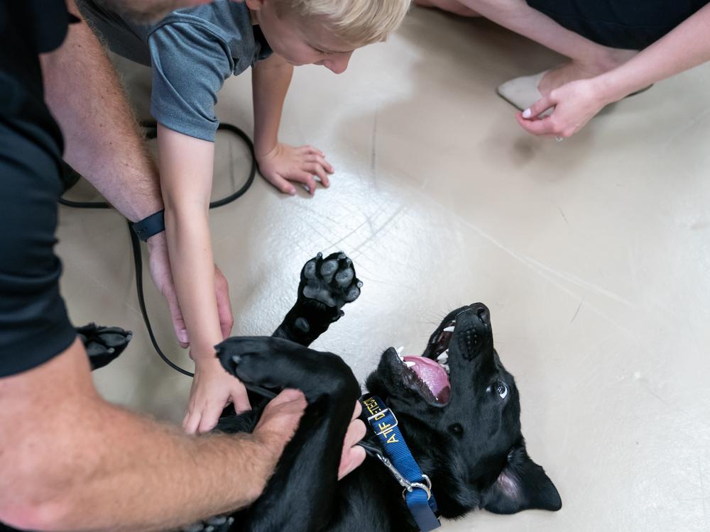 Owen Wells, 5, son of Special Agent Corey Wells, plays with his dad’s K-9, Tara, during a graduation ceremony for Bureau of Alcohol, Tobacco, Firearms and Explosives (ATF) Special Agent Canine Handlers and their dogs at the ATF training facility in Front Royal, Va., on Friday. 