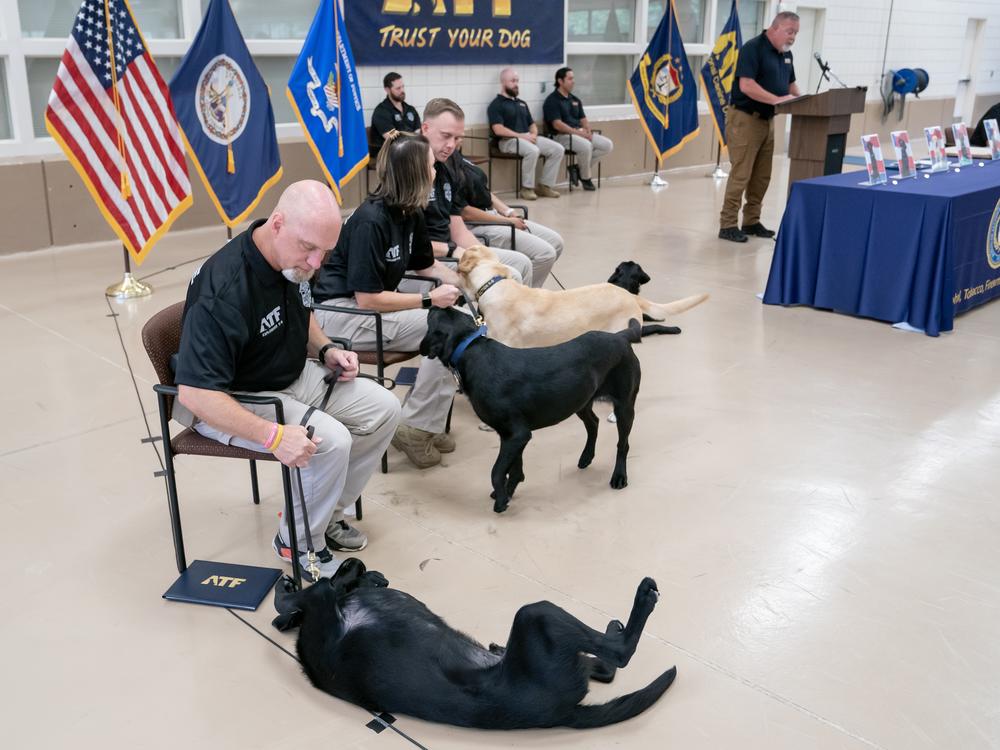 Special agent Andrew Badowski, left, looks toward his K-9, Murphy, during a graduation ceremony for Bureau of Alcohol, Tobacco, Firearms and Explosives (ATF) Special Agent Canine Handlers and their dogs at the ATF training facility in Front Royal, Va., on June 21. 