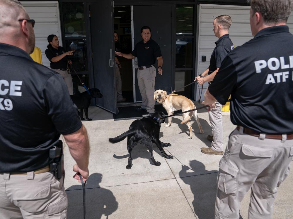 K-9 handlers line up ahead of a graduation ceremony for Bureau of Alcohol, Tobacco, Firearms and Explosives (ATF) special agent canine handlers and their dogs at the ATF training facility in Front Royal, Va., on Friday, June 21, 2024.