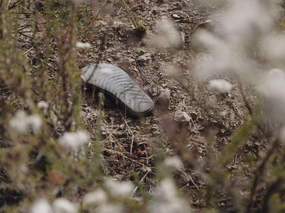 A sandal can be seen through the busses of the desert in Dulzura, California, on June 24, 2024.