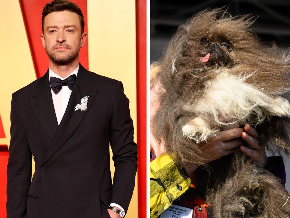  Angel Reese, Justin Timberlake, Wild Thang