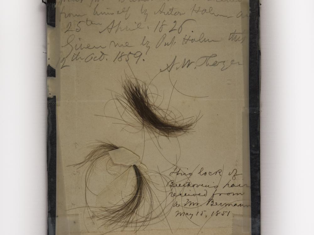 These two locks of Beethoven's hair were tested for lead in 2023.<br>