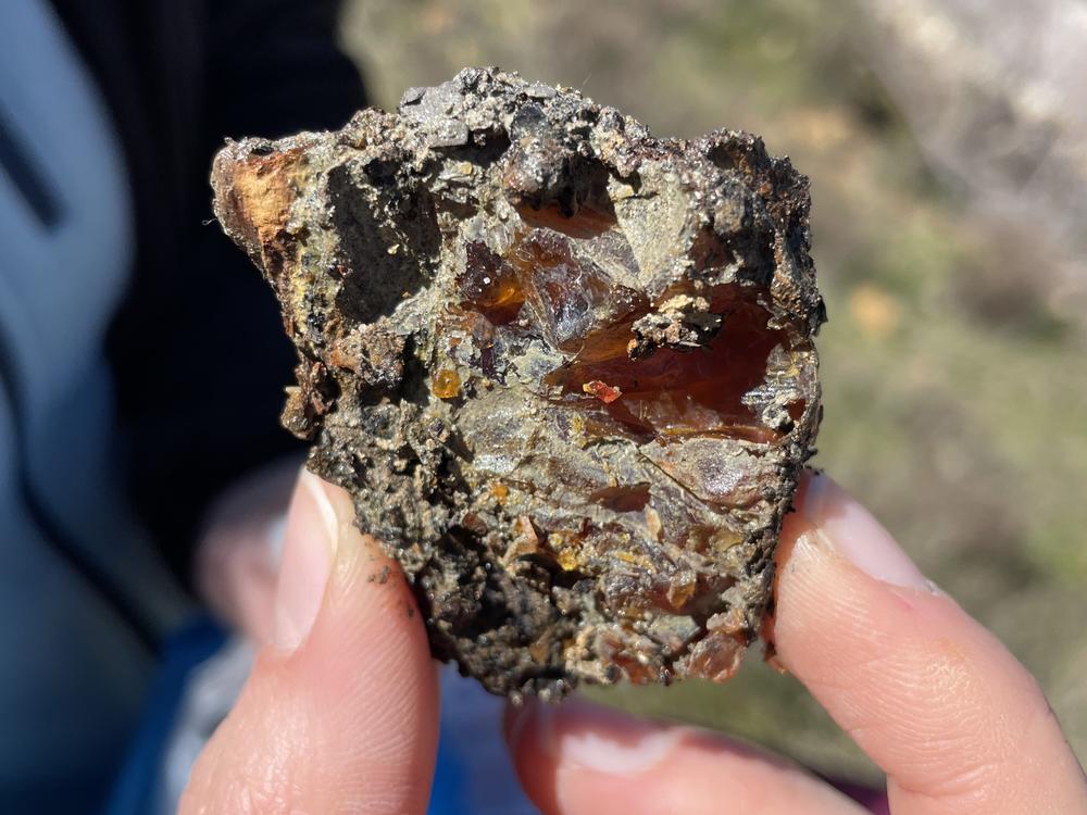  Geologist Sibelle Maksoud holds up a chunk of amber the size of a golf ball. “It’s a treasure,” she says.