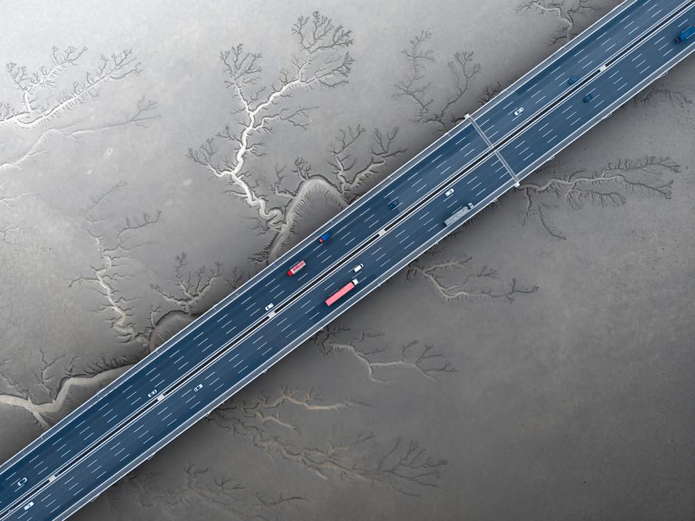 The river carves out large, tree-like ravines on the mudflat along the Jiashao Bridge that extends into the East China Sea.