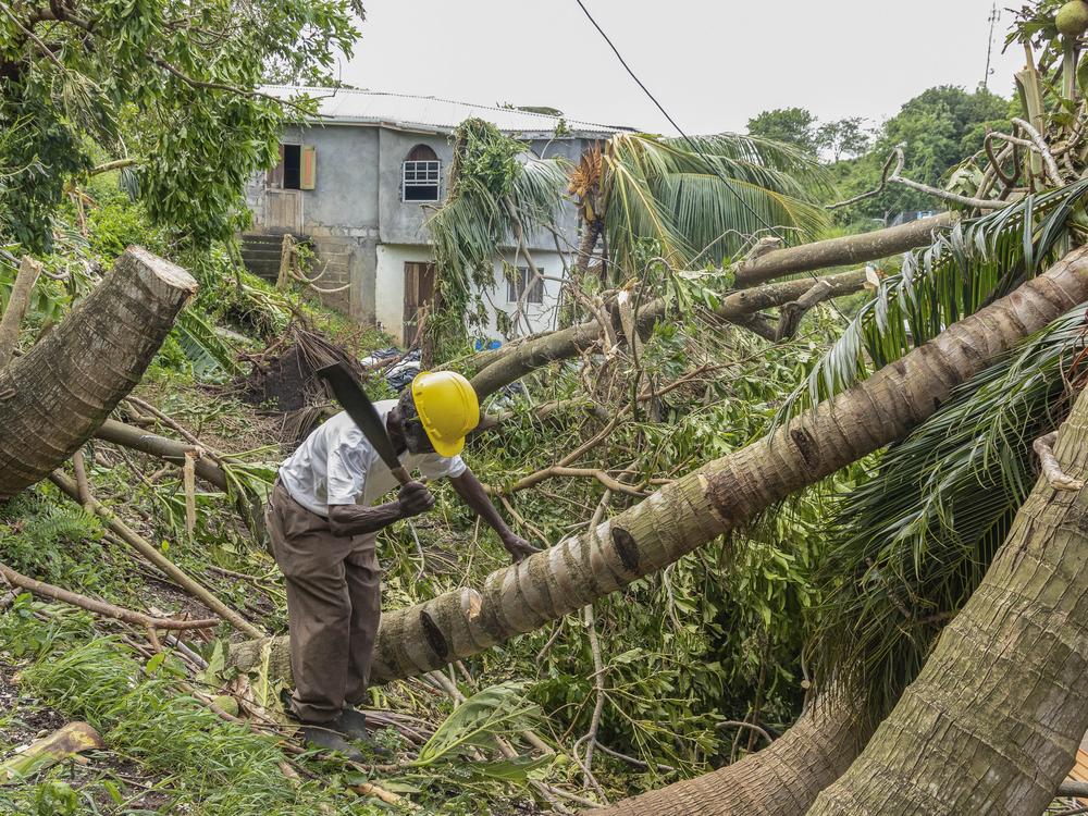 Pastor Winston Alleyne clears trees felled by Hurricane Beryl in Ottley Hall, St. Vincent and the Grenadines, Tuesday, July 2, 2024. 