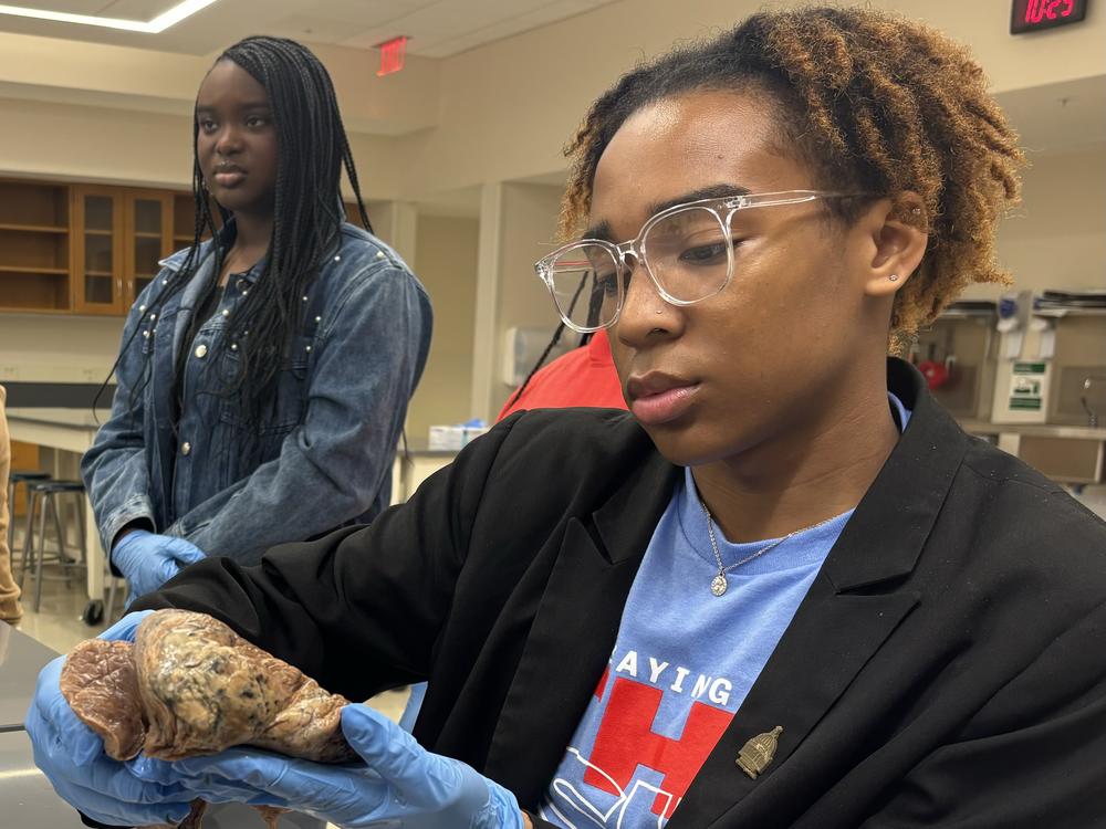 Marlee Washington (left) and Jon Trayvious attend the African American Visit Day at the University of Mississippi School of Medicine. Trayvious, a recent graduate of Northside High School in Shelby, Mississippi, inspects a human lung in a classroom at the medical school. 