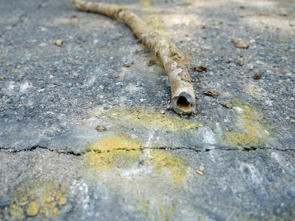 A lead water service line from 1927 lays on the ground on a residential street after being removed on June 17, 2021, in Denver. 