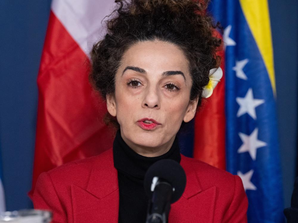 Iranian rights activist Masih Alinejad speaks during a press conference in March in association with the World Liberty Congress to urge action on political prisoners around the world, at the National Press Club in Washington, D.C.