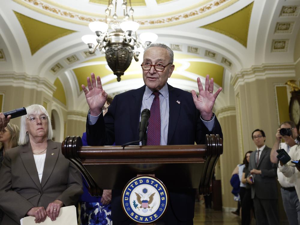 Democrats remain divided on how to handle President Biden's campaign missteps. Party leaders like Senate Majority Leader Chuck Schumer, D-NY, say they back Biden, but even Schumer's close deputy Sen. Patty Murray, D-Wash, (left), is among the members questioning Biden's ability to be the party's nominee.