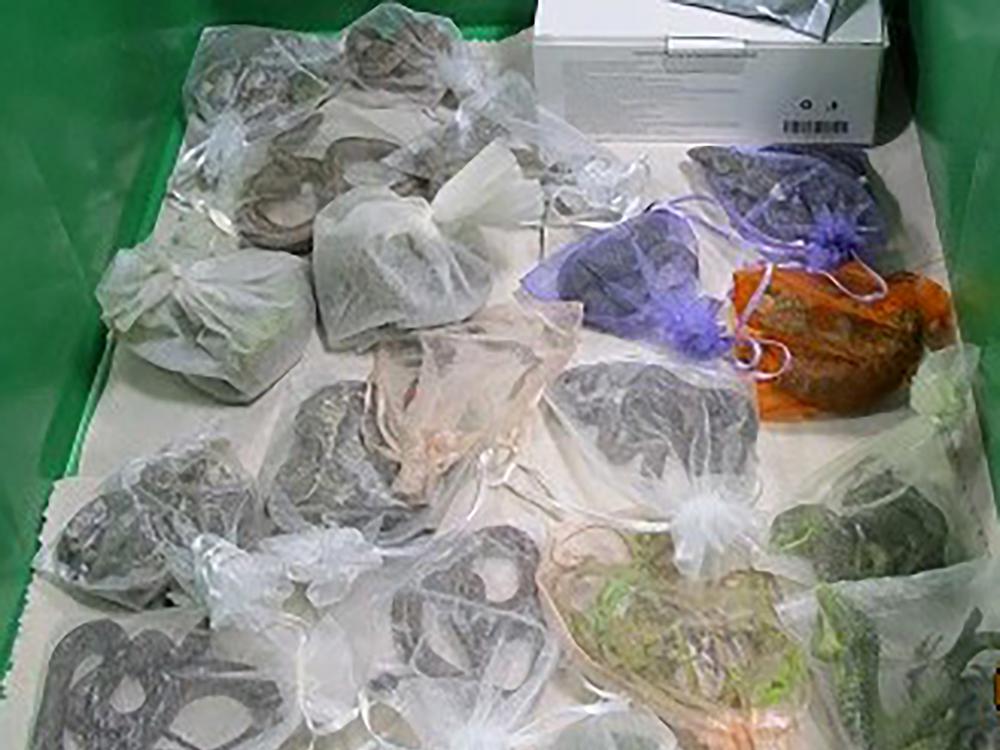 This February 2022 photo provided by U.S. Customs and Border Protection shows snakes in bags found hidden in a man's clothes at the San Ysidro, Calif., port of entry. On Tuesday, officials in China said a man was caught trying to smuggle more than 100 snakes into that country.