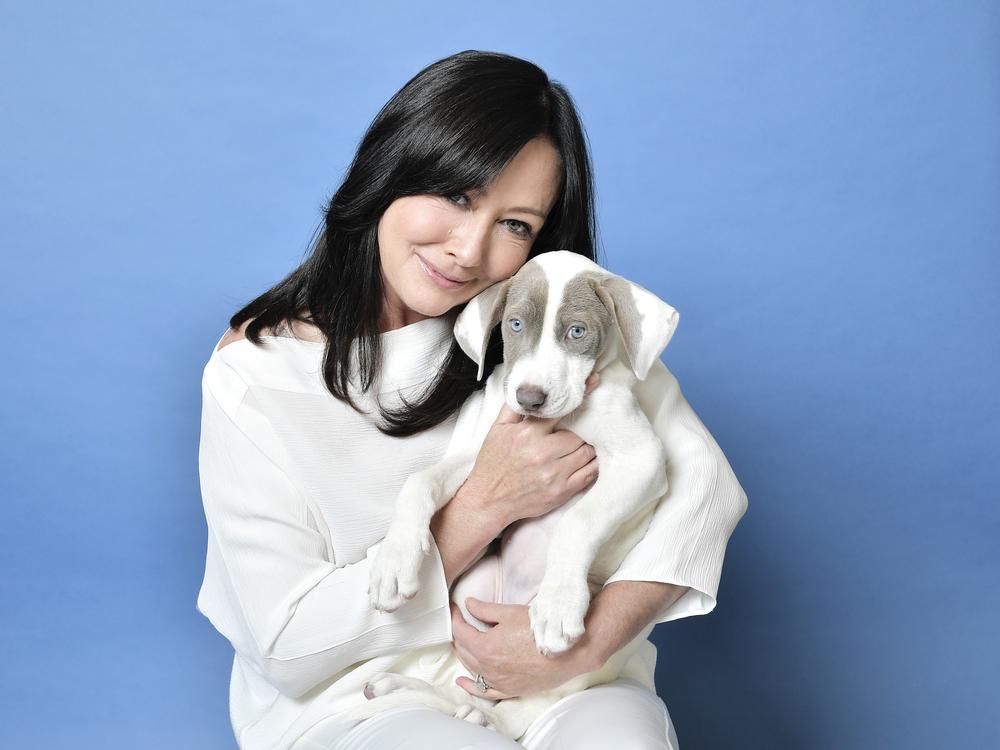 Shannen Doherty, best known for her roles in <em>Beverly Hills 90210</em> and <em>Charmed</em>, died Saturday after her years-long battle with breast cancer.<br>