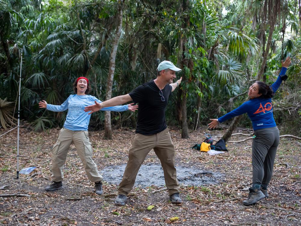 Researchers Wei Gordon, Nadav Ahituv, and Mai Nobuhara (left to right) take a break from setting up a net to imitate a few of the bats they hope to catch.<br><br>