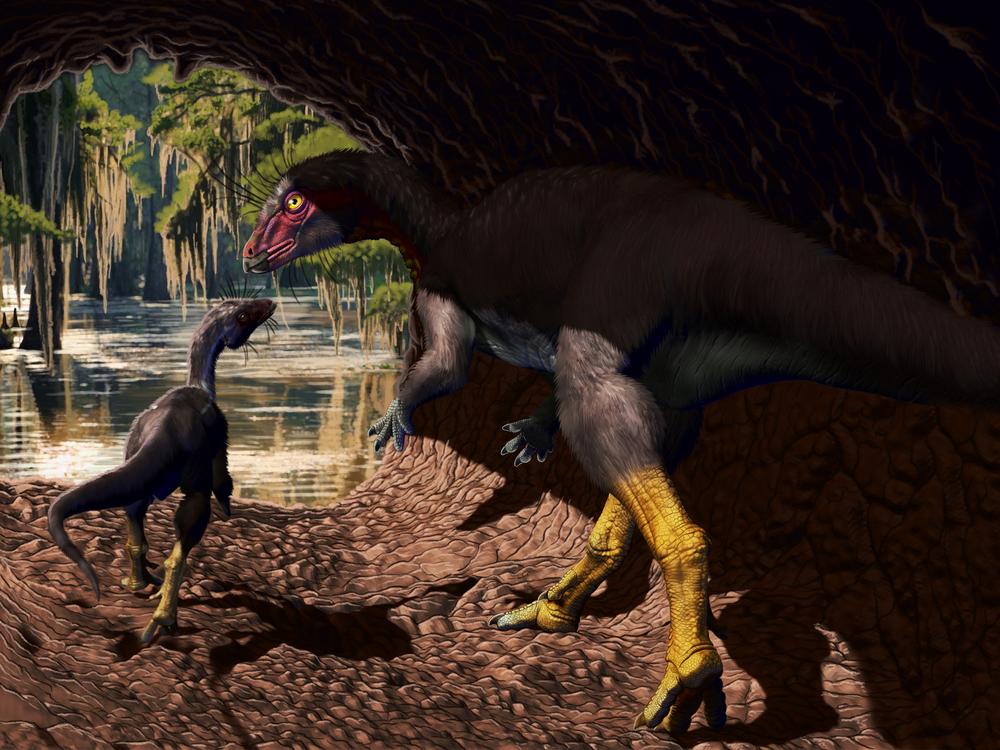  An artist impression of <em>Fona herzogae.</em>