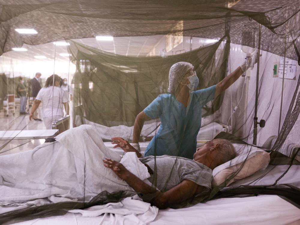 A nurse takes care of a dengue fever patient at the Sergio Bernales National Hospital in the outskirts of Lima on April 17. The number of suspected cases in Peru so far this year is over 100,000.