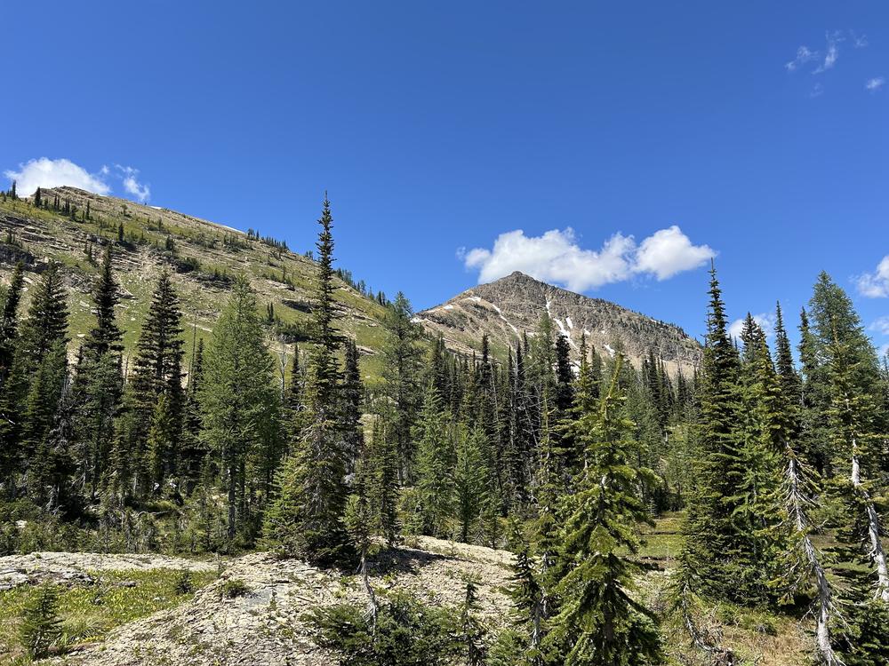 The EPA awarded Montana nearly $50 million to improve forest management and address wildfires.