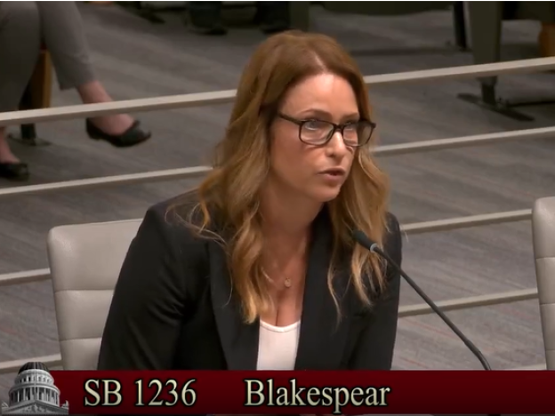 Insurance industry representative Steffanie Watkins testifies April 24 before the Senate Standing Committee on Health, in opposition to a bill that would have created an annual open enrollment period for Medigap insurance. This could have allowed seniors greater flexibility in switching from Medicare Advantage plans to traditional Medicare.  