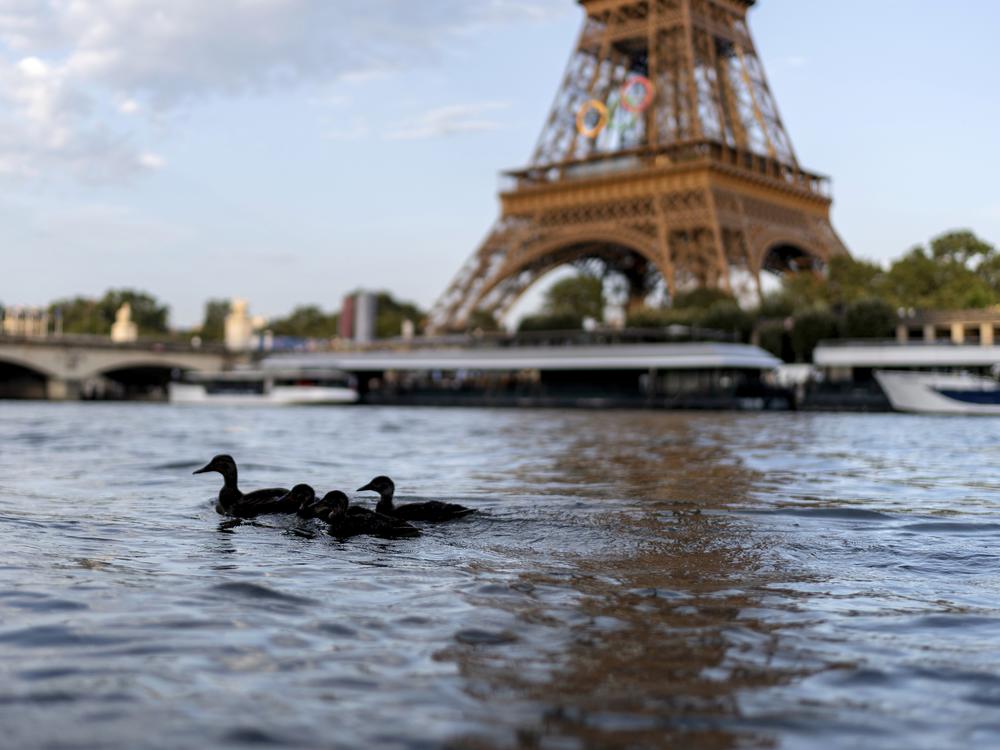 Ducks swim along the Seine River in front of the Eiffel Tower on Monday during the 2024 Summer Olympics. The river's water quality levels on Tuesday forced a one-day delay to the men's triathlon, with organizers blaming last week's rain for the pollution.