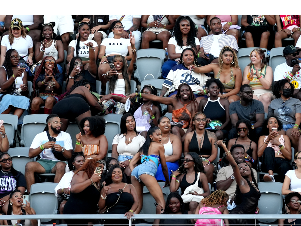 Fans cheer and dance in the stands during the Broccoli City Festival at Audi Field in Washington, D.C.