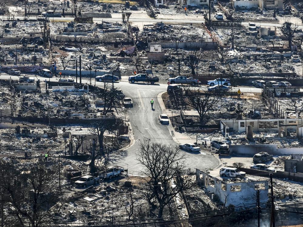 Nationwide, renters are more likely to be displaced after a disaster than homeowners, and to remain displaced for longer, according to a recent survey by the National Low Income Housing Coalition. Large sections of Lahaina, Maui were destroyed in a wildfire in 2023. 